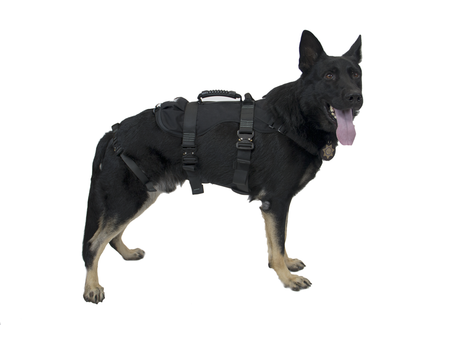 K9 Proseries Rappel Harness