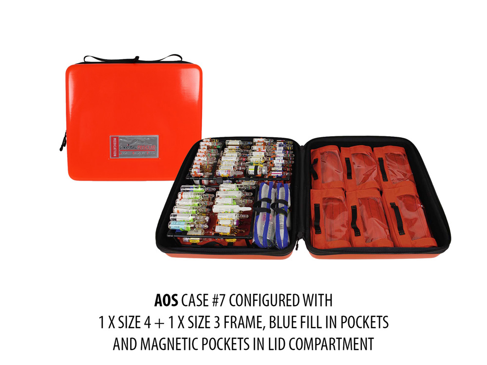 AOS-CASE-7-MIXED-frames.jpg