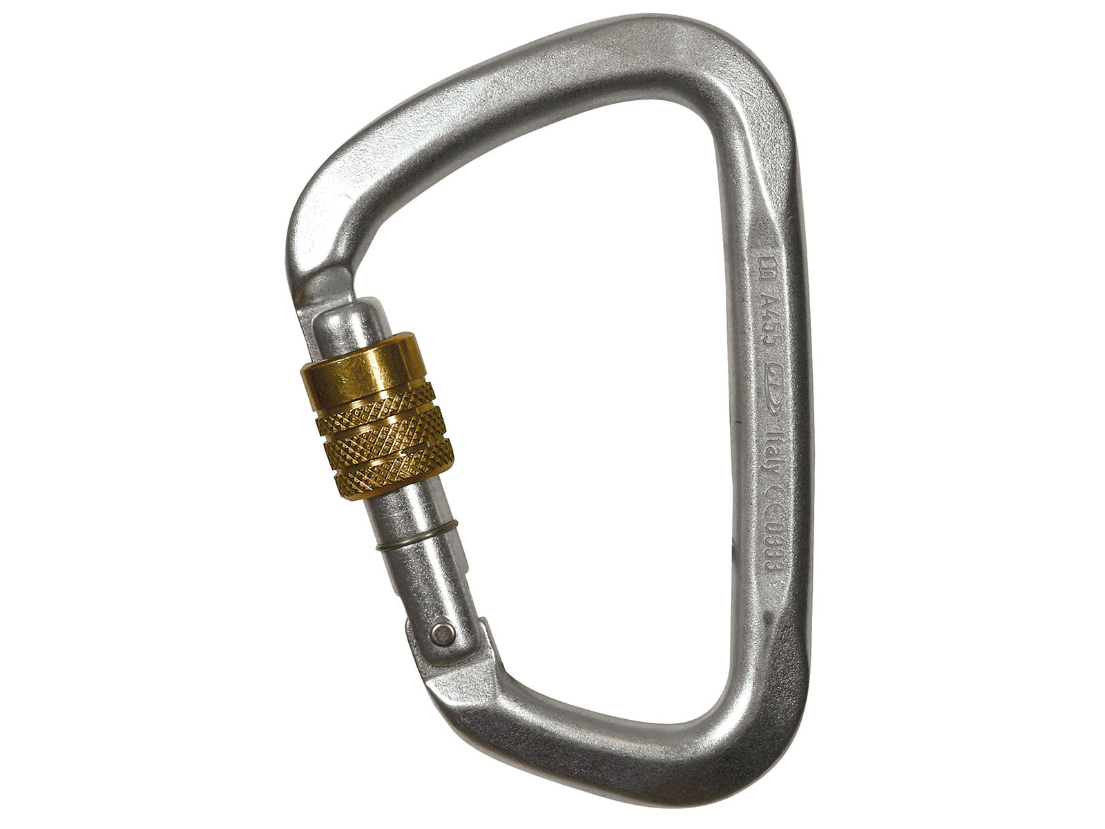 Steel Screw Gate Karabiner (1)