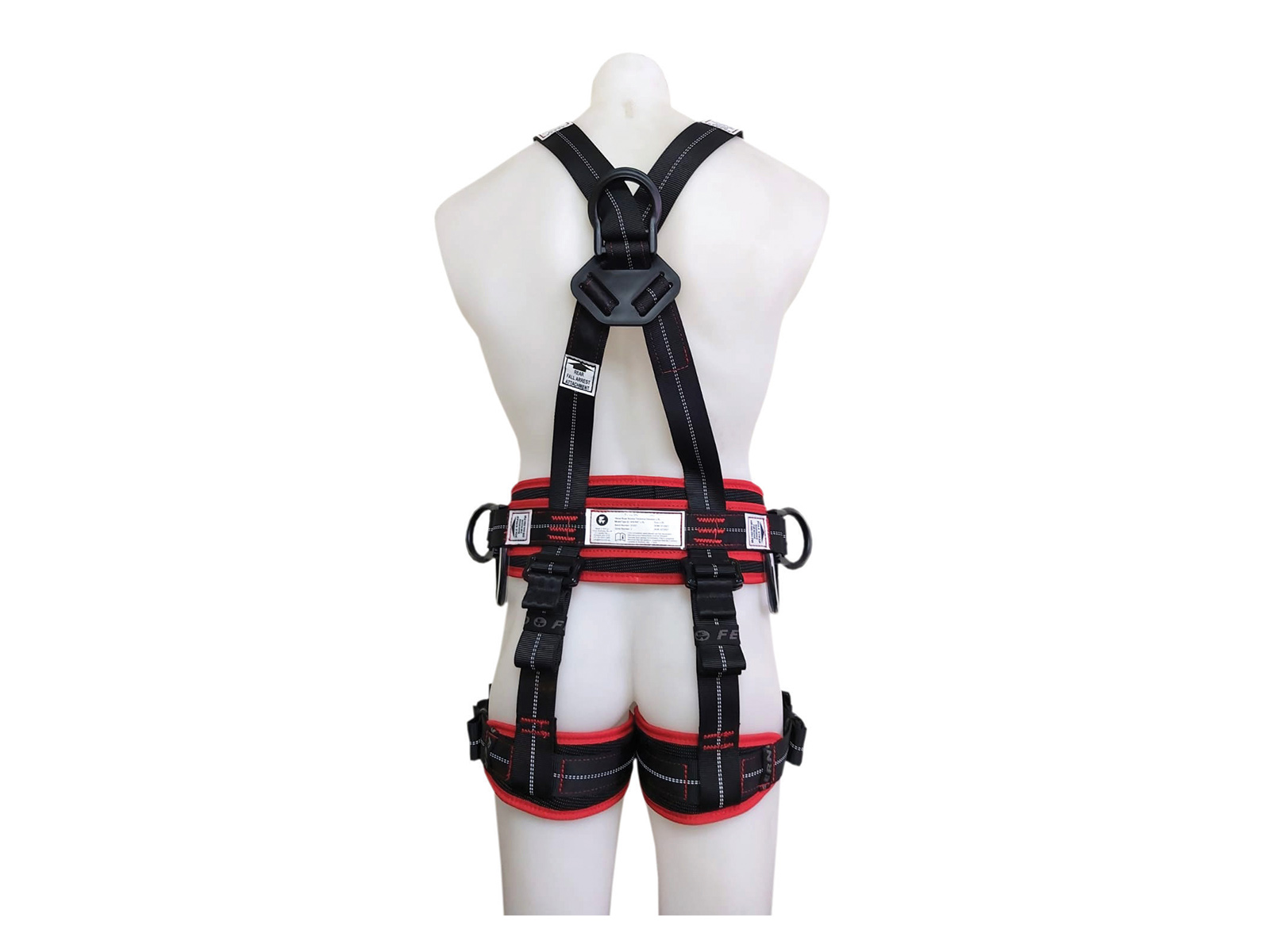 Best rat harness shop